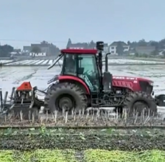 您負責統(tǒng)籌全局，它負責腳踏實地